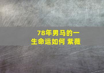 78年男马的一生命运如何 紫薇